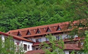 Hotel McPietroasa